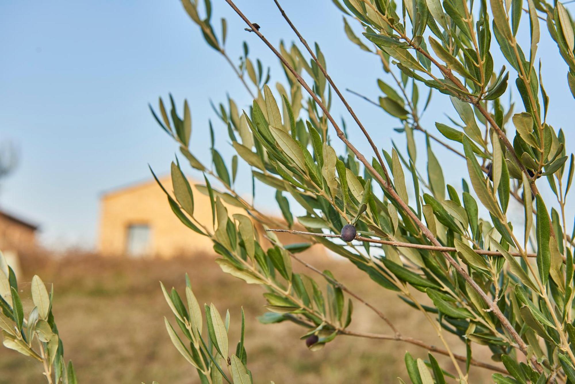 Agriturismo Prato Del Re Prignano sulla Secchia Buitenkant foto