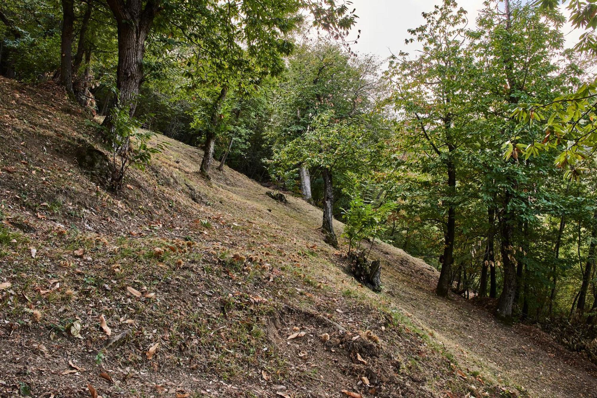 Agriturismo Prato Del Re Prignano sulla Secchia Buitenkant foto